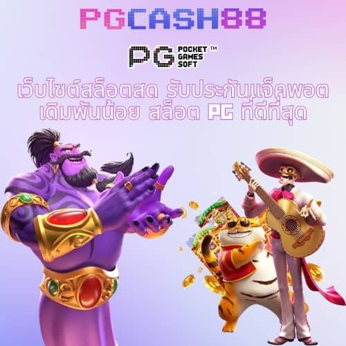 แพนด้า555 สล็อต